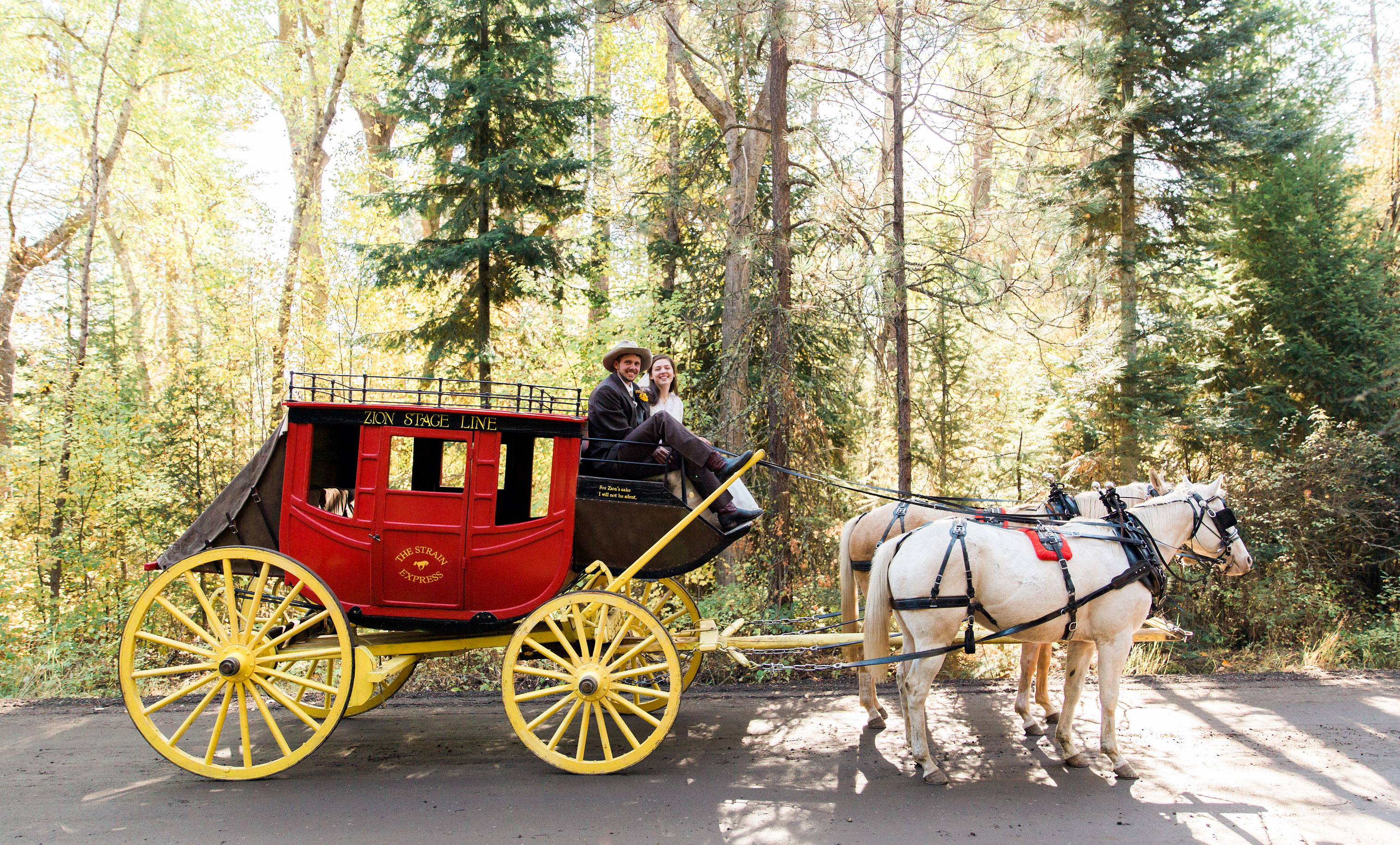 Stagecoach Wedding Backdrop Photos with Zion Stage Line